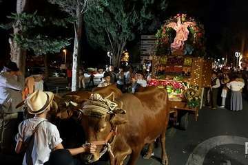 La carreta de Arenales triunfa en la romería de Valsequillo (Foto Francisco Javier Santana)